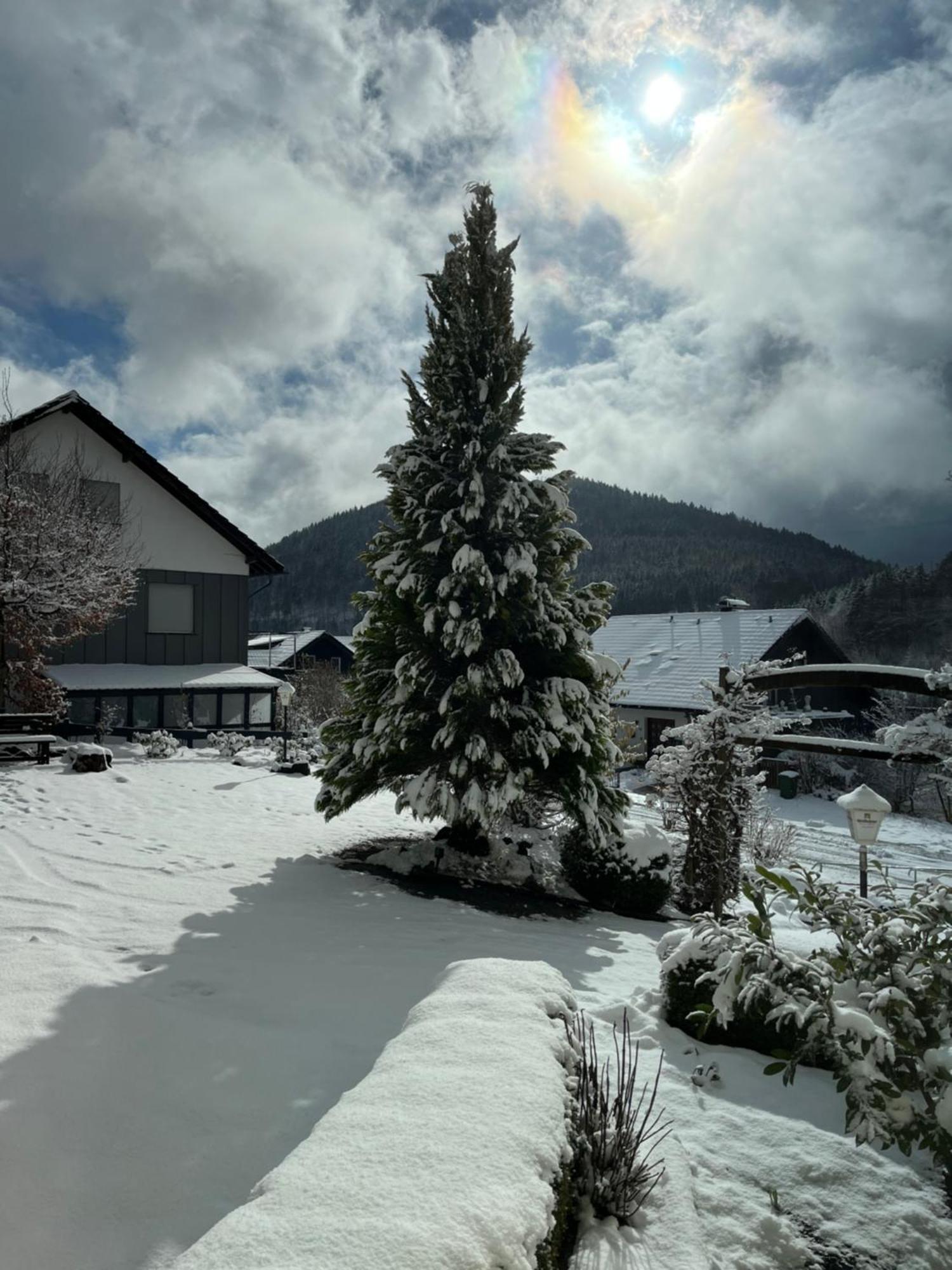 Casa Milix - Bed & Breakfast Bed & Breakfast Winterberg Bagian luar foto